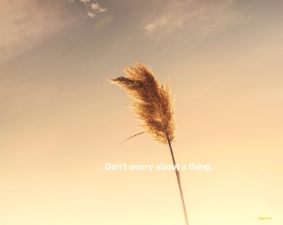 Don’t Worry About A Thing